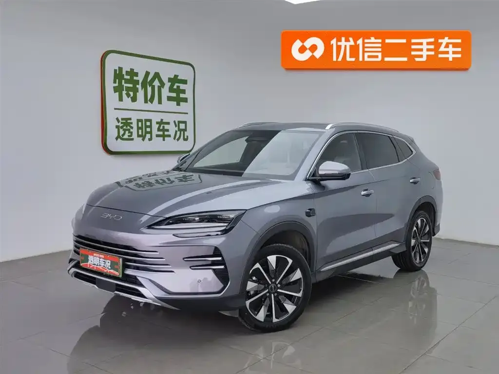 BYD PLUS New Energy 2025 из CN, фото 1