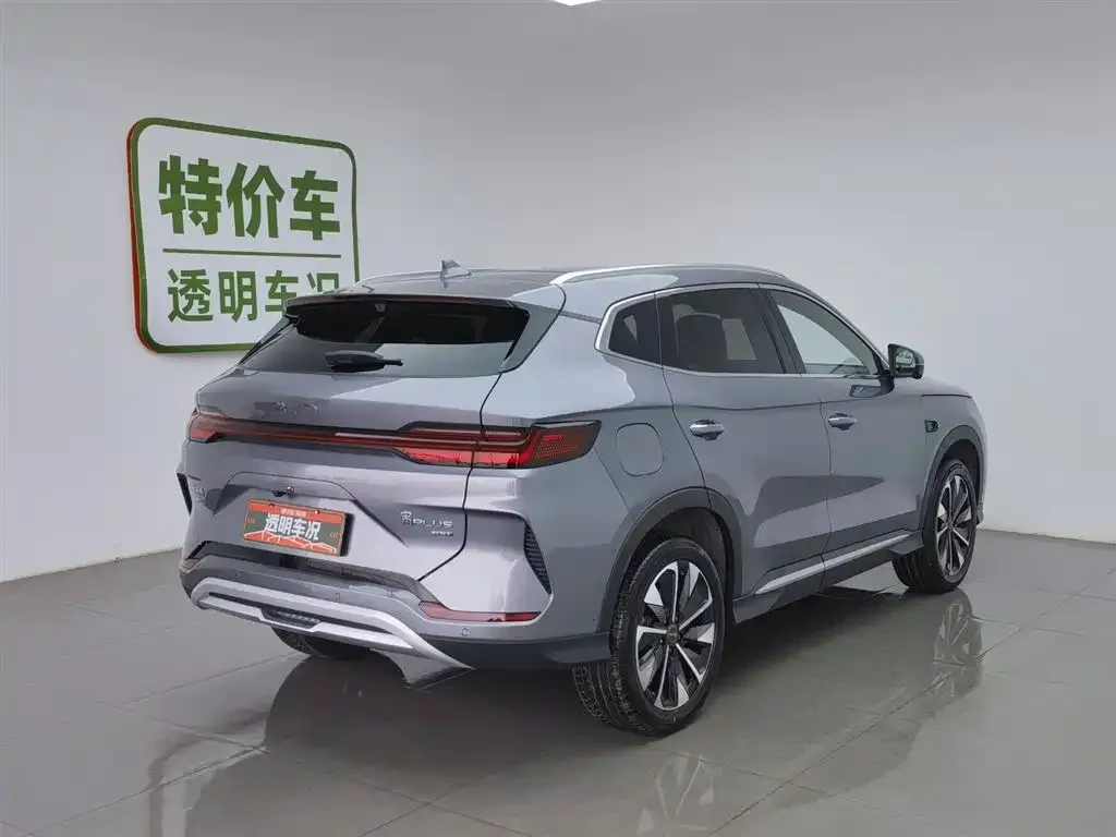 BYD PLUS New Energy 2025 из CN, фото 2