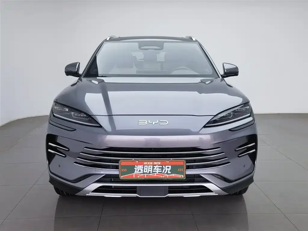 BYD PLUS New Energy 2025 из CN, фото 4