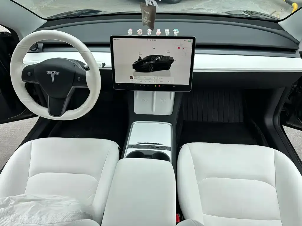 Tesla Model 3 2022 из CN, фото 2