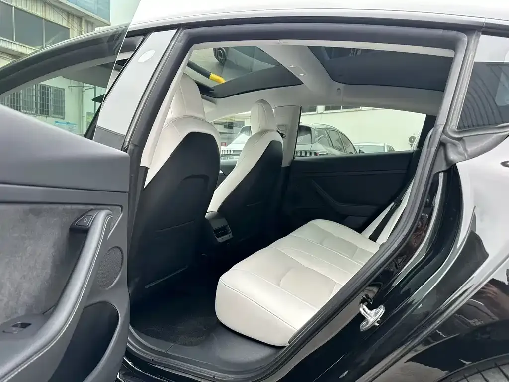 Tesla Model 3 2022 из CN, фото 4