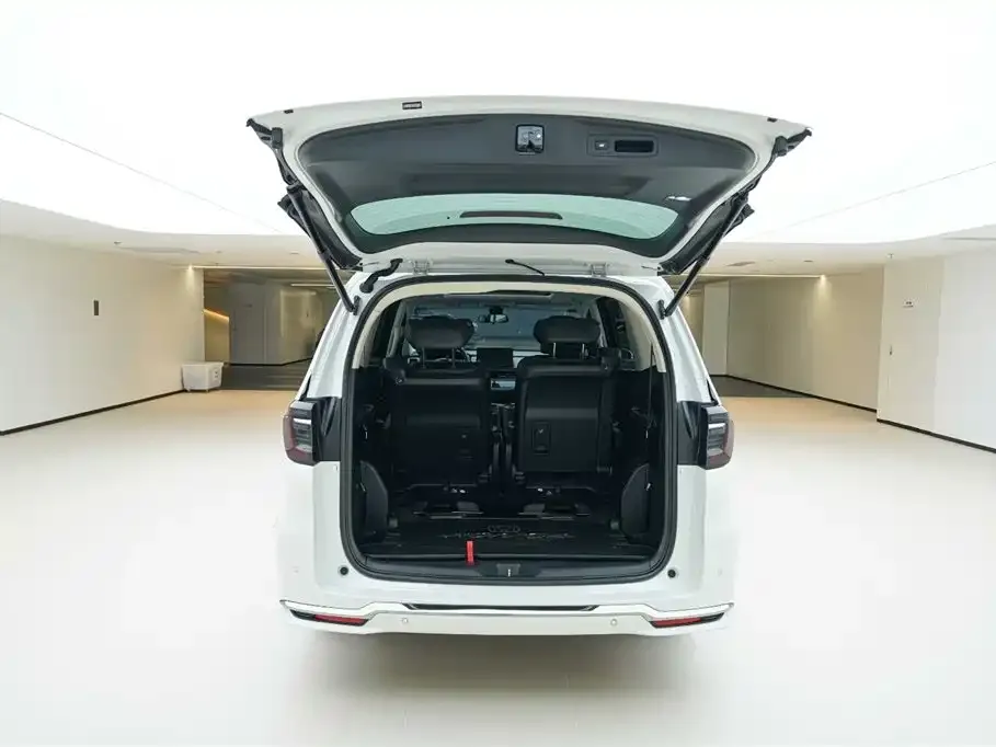 Honda Elysion 2023 из CN, фото 6
