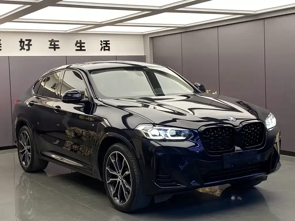 BMW X4 2021 из CN, фото 10