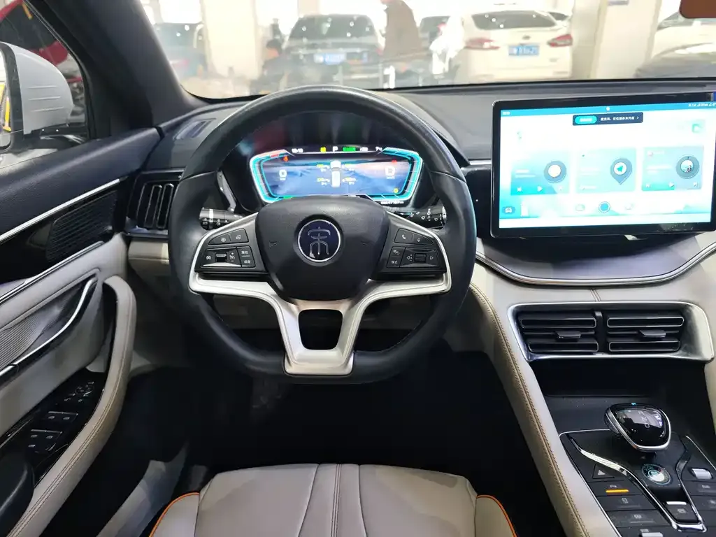 BYD PLUS New Energy 2022 из CN, фото 10