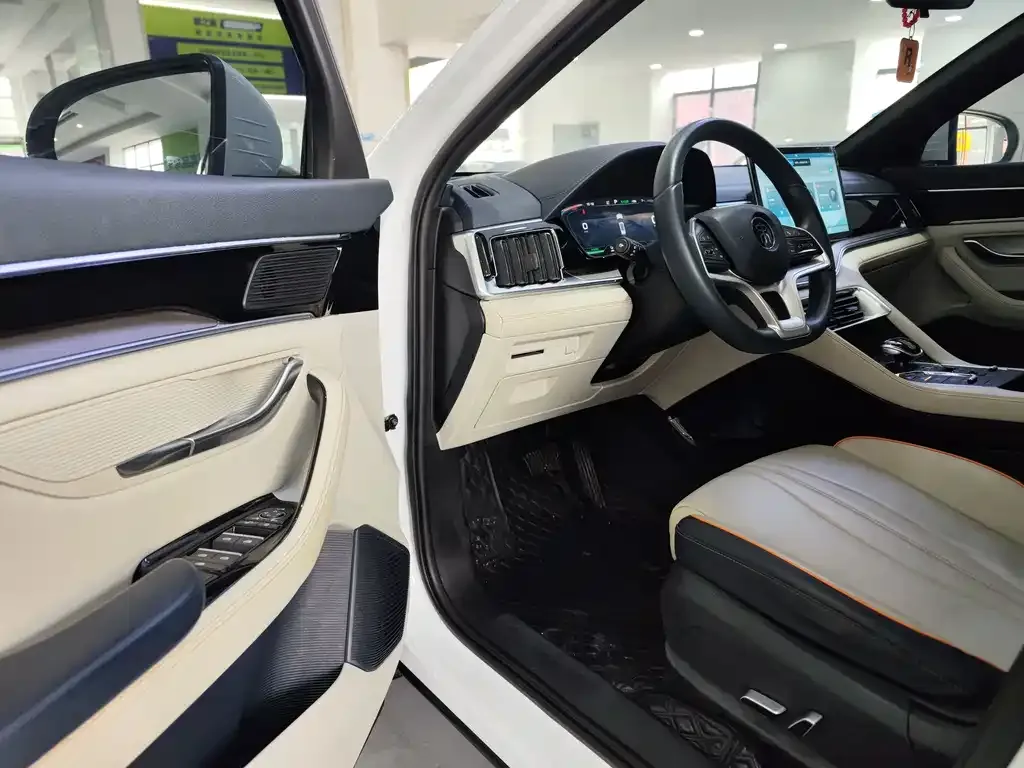 BYD PLUS New Energy 2022 из CN, фото 2