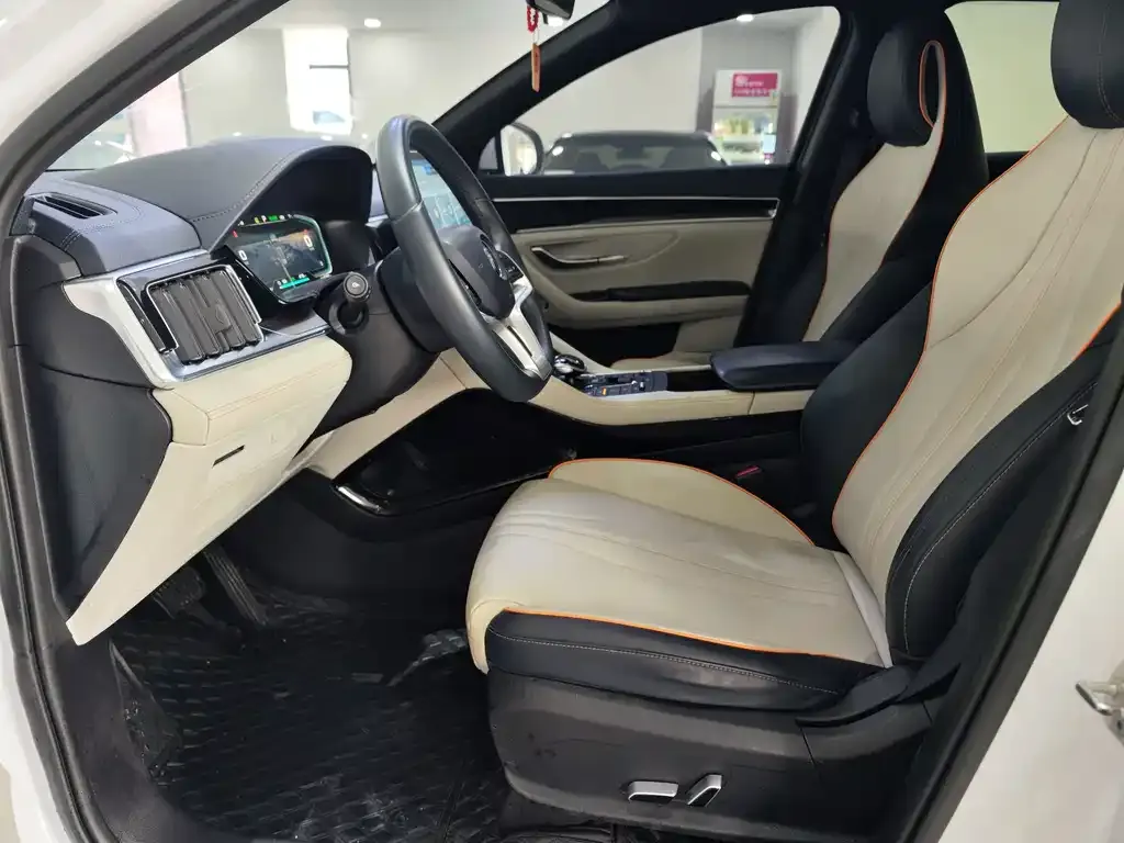 BYD PLUS New Energy 2022 из CN, фото 6