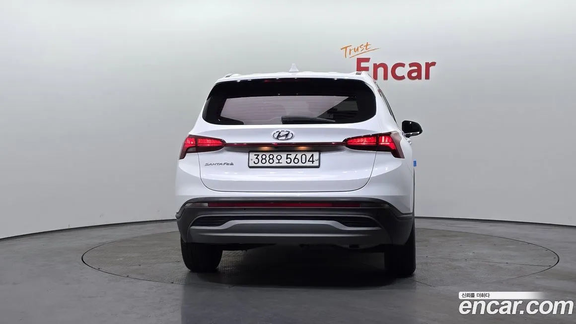 Hyundai Santafe 2021 из KR, фото 4