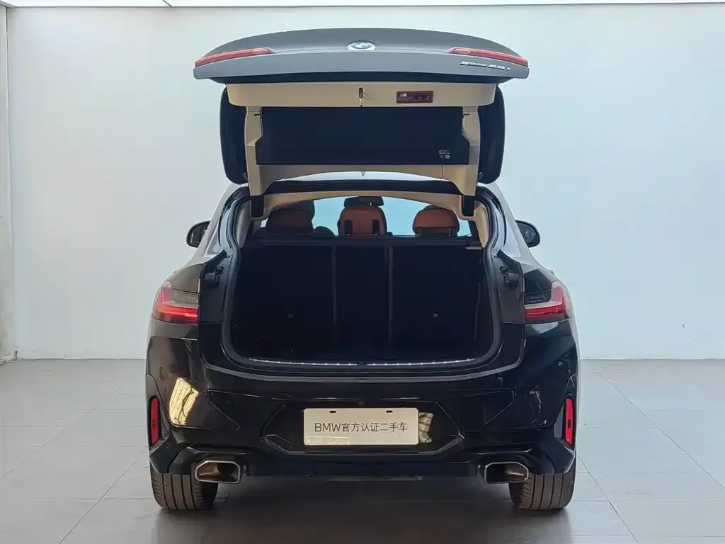 BMW X4 2024 из CN, фото 6