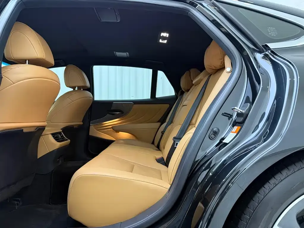 Lexus LS 2023 из CN, фото 4