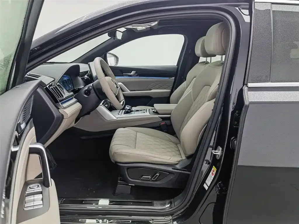 BYD Tang New Energy 2024 из CN, фото 2