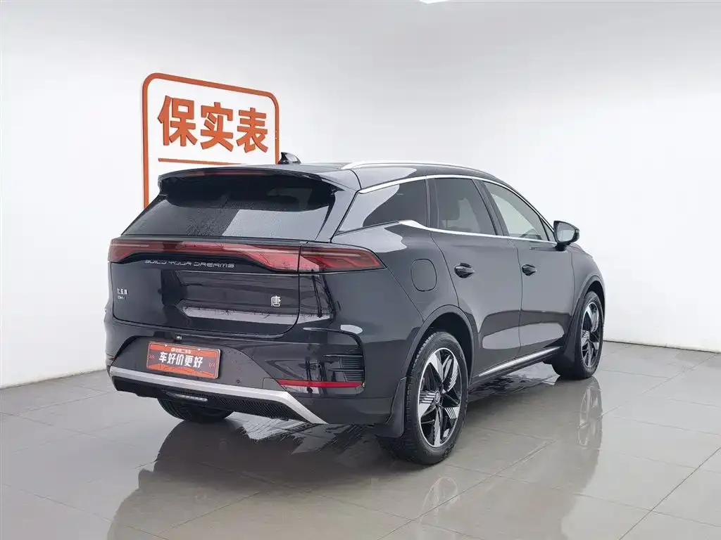 BYD Tang New Energy 2024 из CN, фото 3