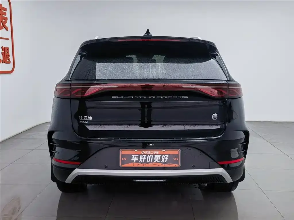 BYD Tang New Energy 2024 из CN, фото 9