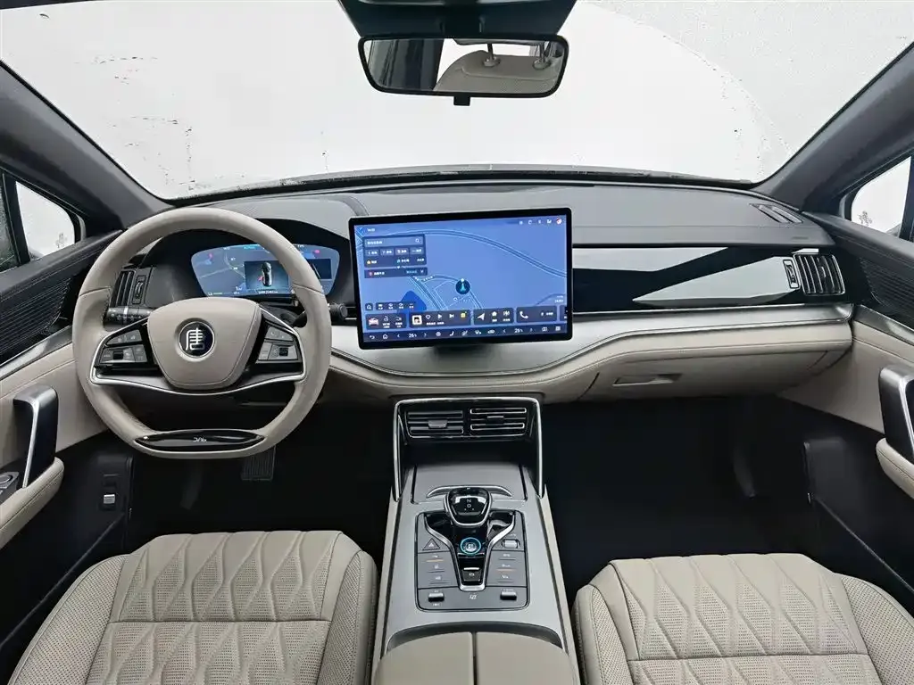 BYD Tang New Energy 2024 из CN, фото 10