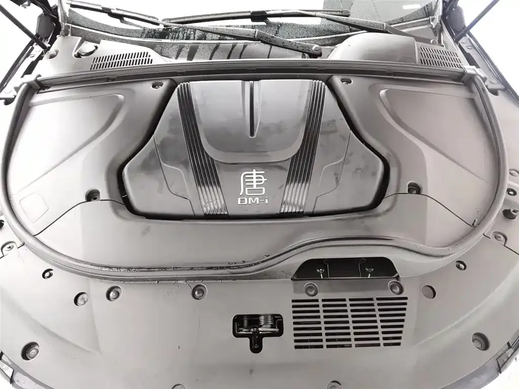 BYD Tang New Energy 2024 из CN, фото 7