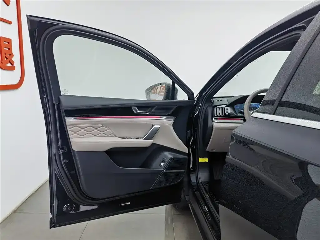 BYD Tang New Energy 2024 из CN, фото 8
