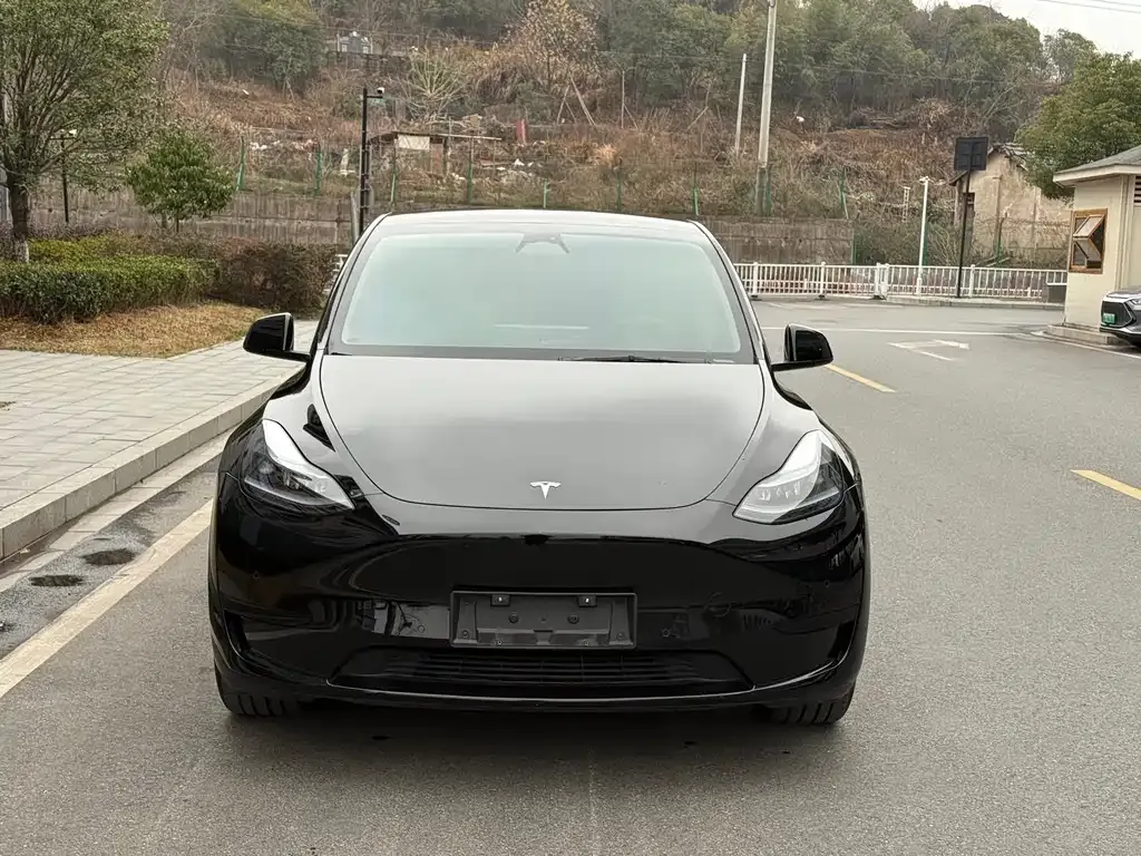 Tesla Model Y 2023 из CN, фото 5