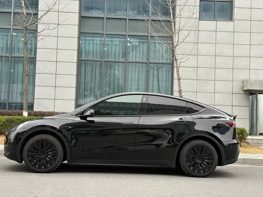 Tesla Model Y 2023 из CN, фото 6