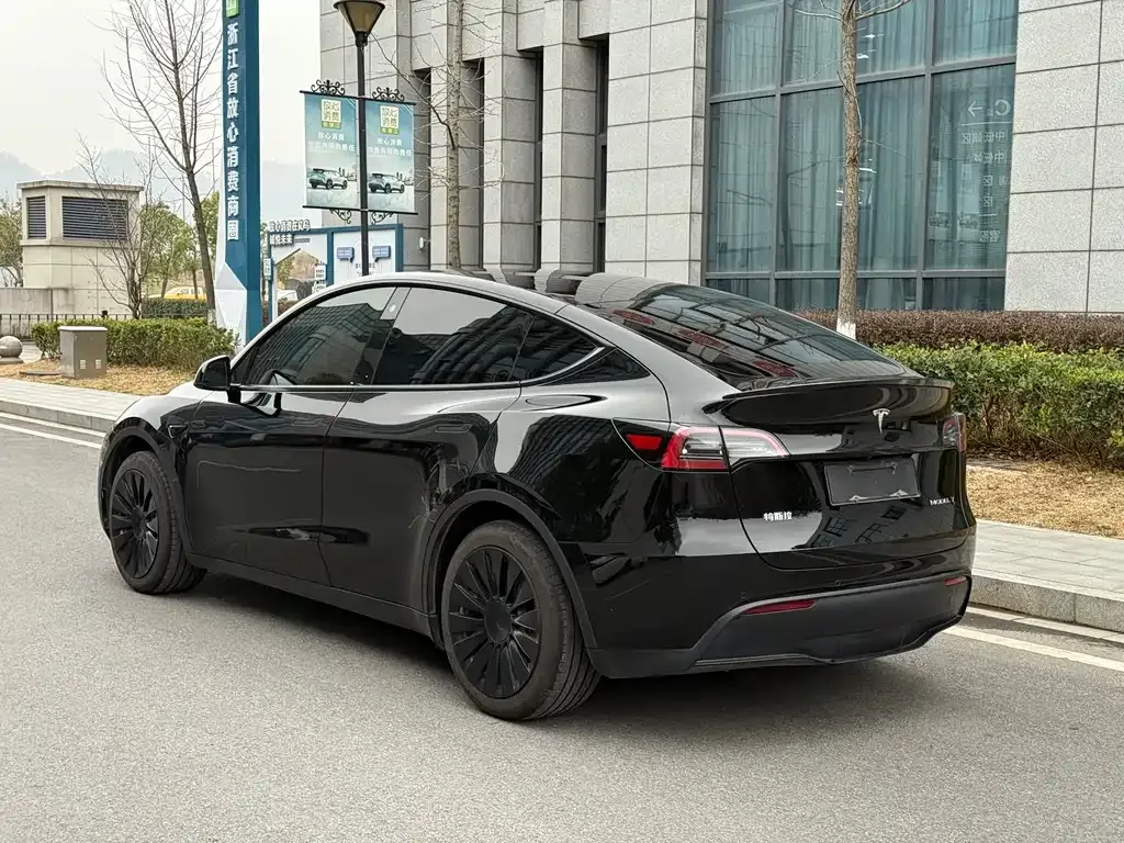 Tesla Model Y 2023 из CN, фото 7