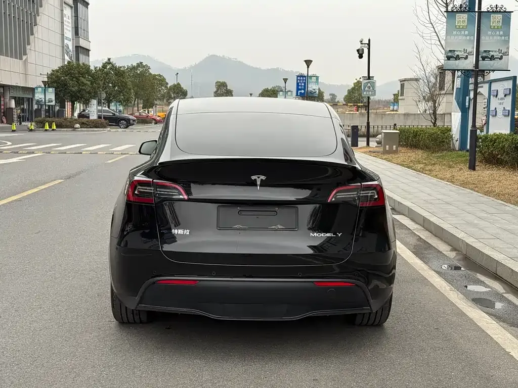 Tesla Model Y 2023 из CN, фото 9