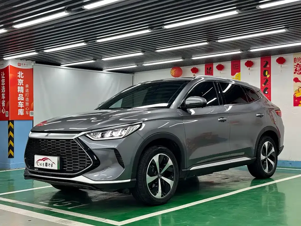 BYD PLUS New Energy 2022 из CN, фото 1