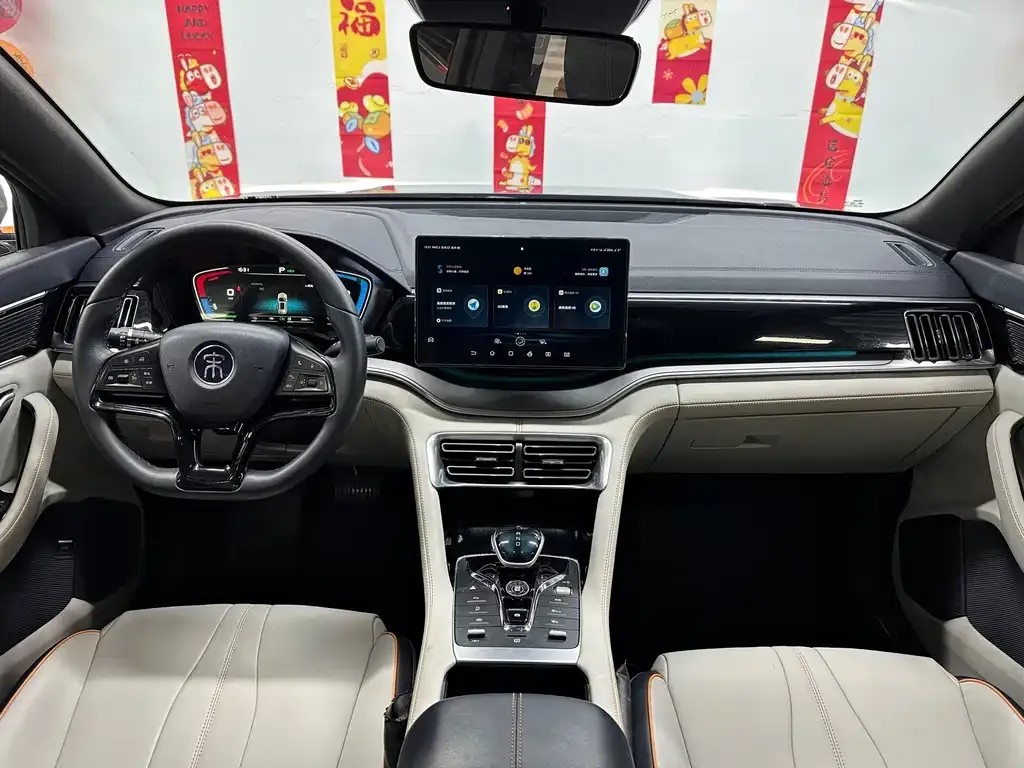 BYD PLUS New Energy 2022 из CN, фото 4