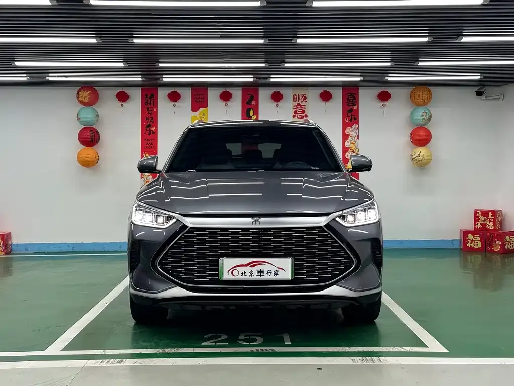BYD PLUS New Energy 2022 из CN, фото 2