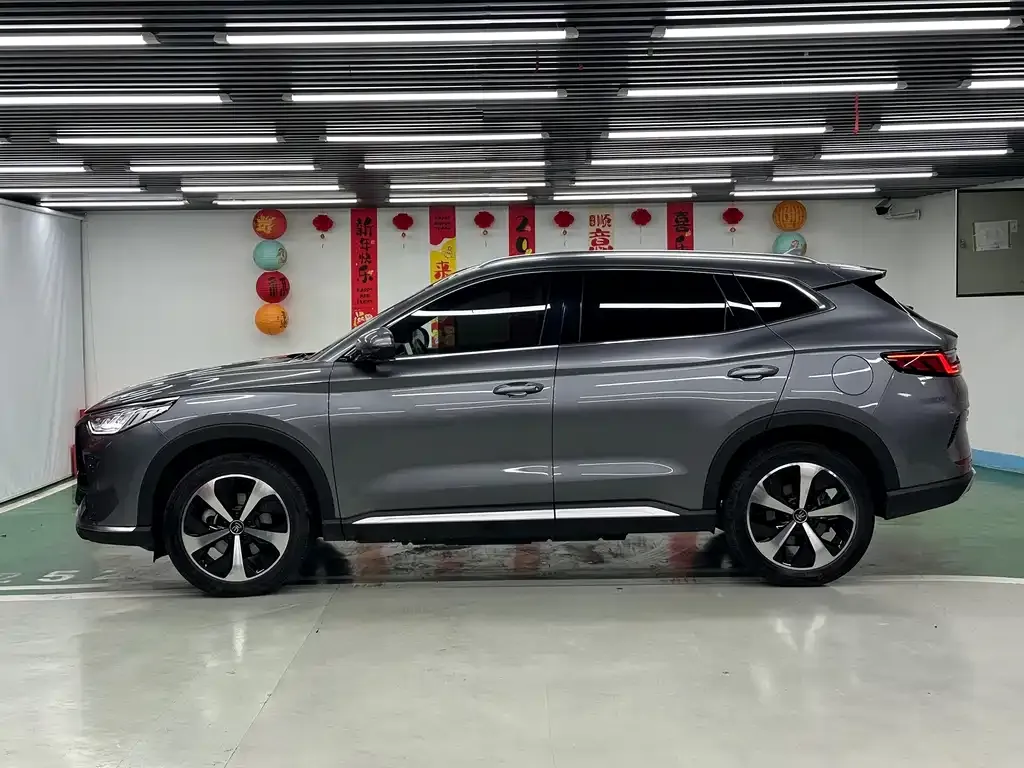 BYD PLUS New Energy 2022 из CN, фото 10