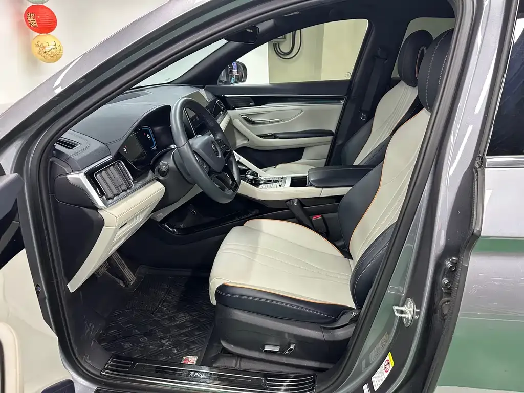 BYD PLUS New Energy 2022 из CN, фото 8