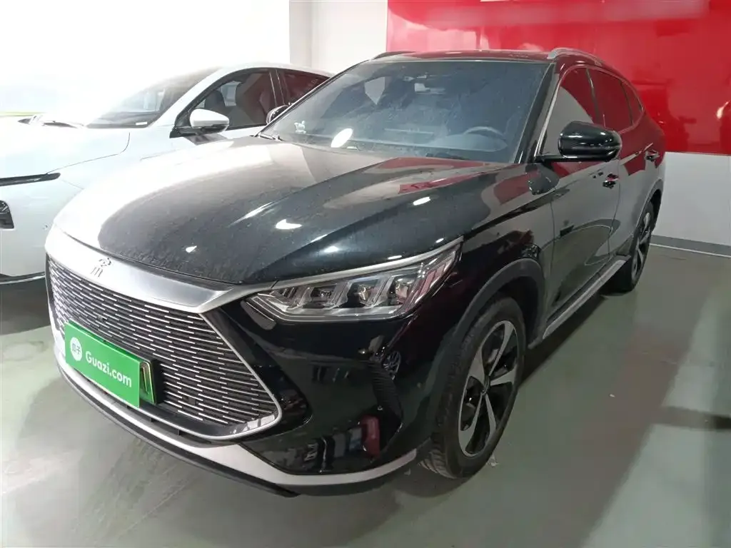 BYD PLUS New Energy 2023 из CN, фото 1