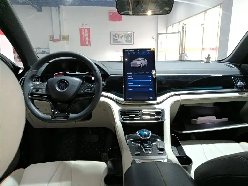 BYD PLUS New Energy 2023 из CN, фото 7
