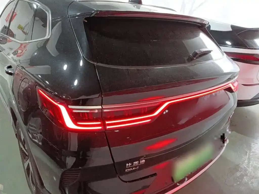 BYD PLUS New Energy 2023 из CN, фото 3