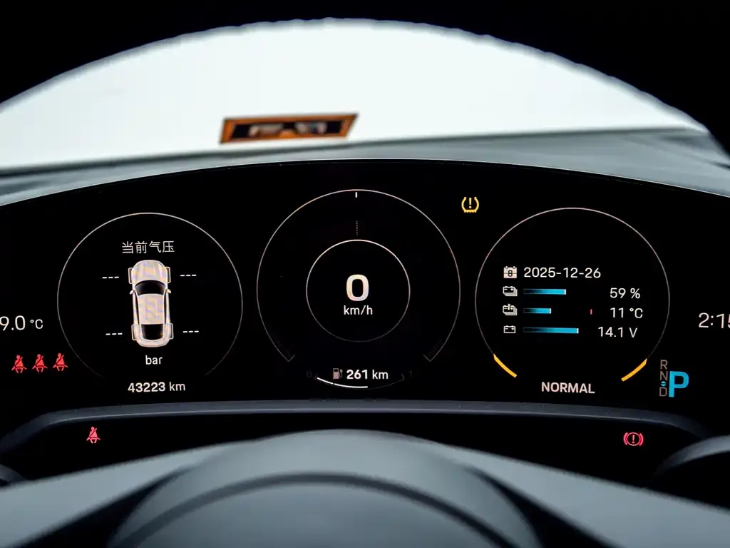 Porsche Taycan 2021 из CN, фото 7