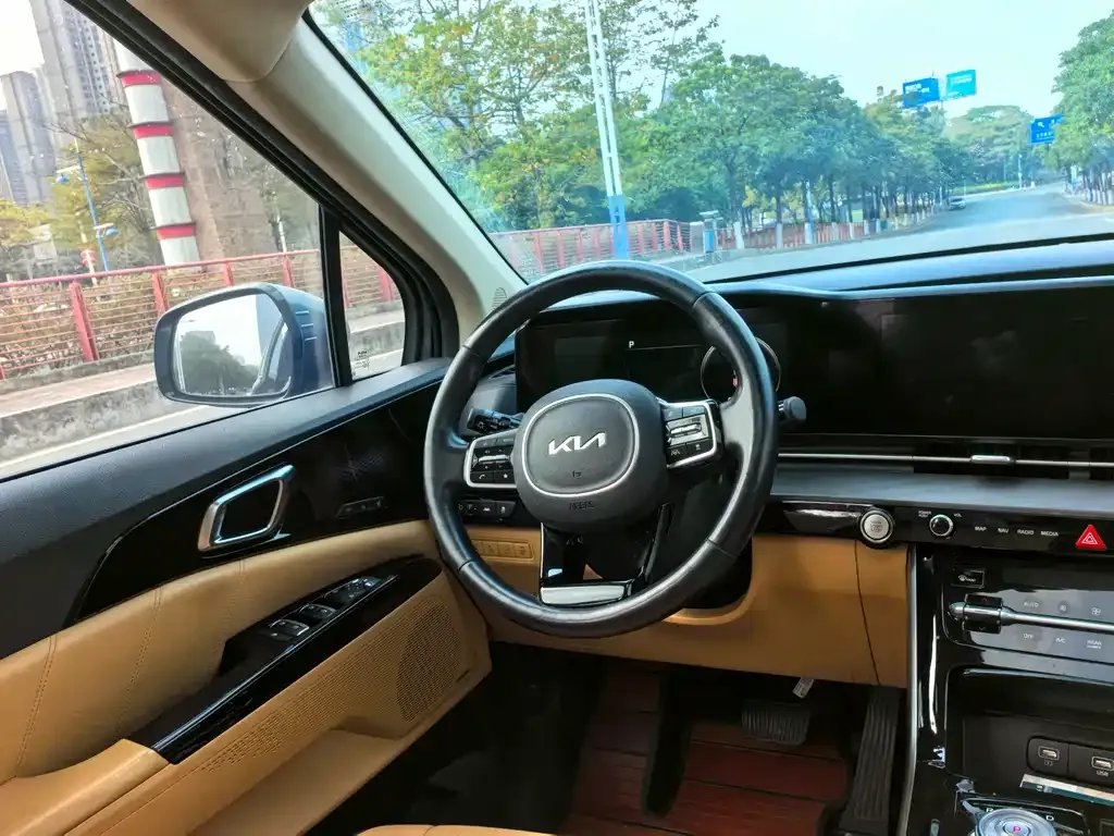 Kia Carnival 2022 из CN, фото 7