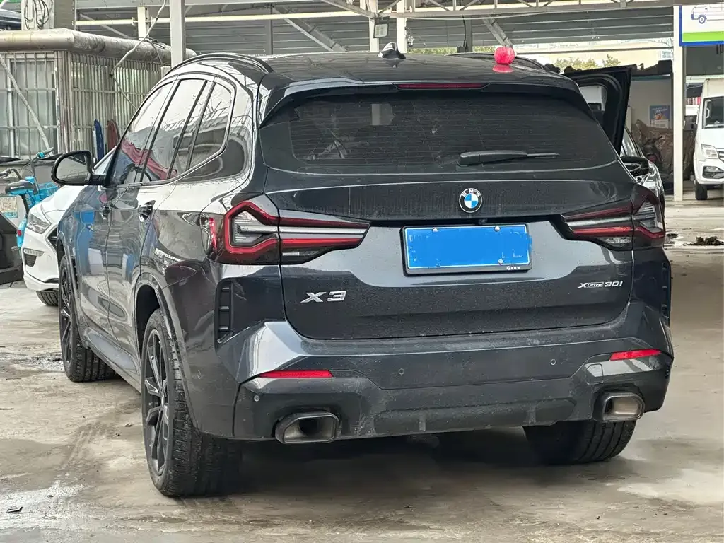 BMW X3 2024 из CN, фото 6