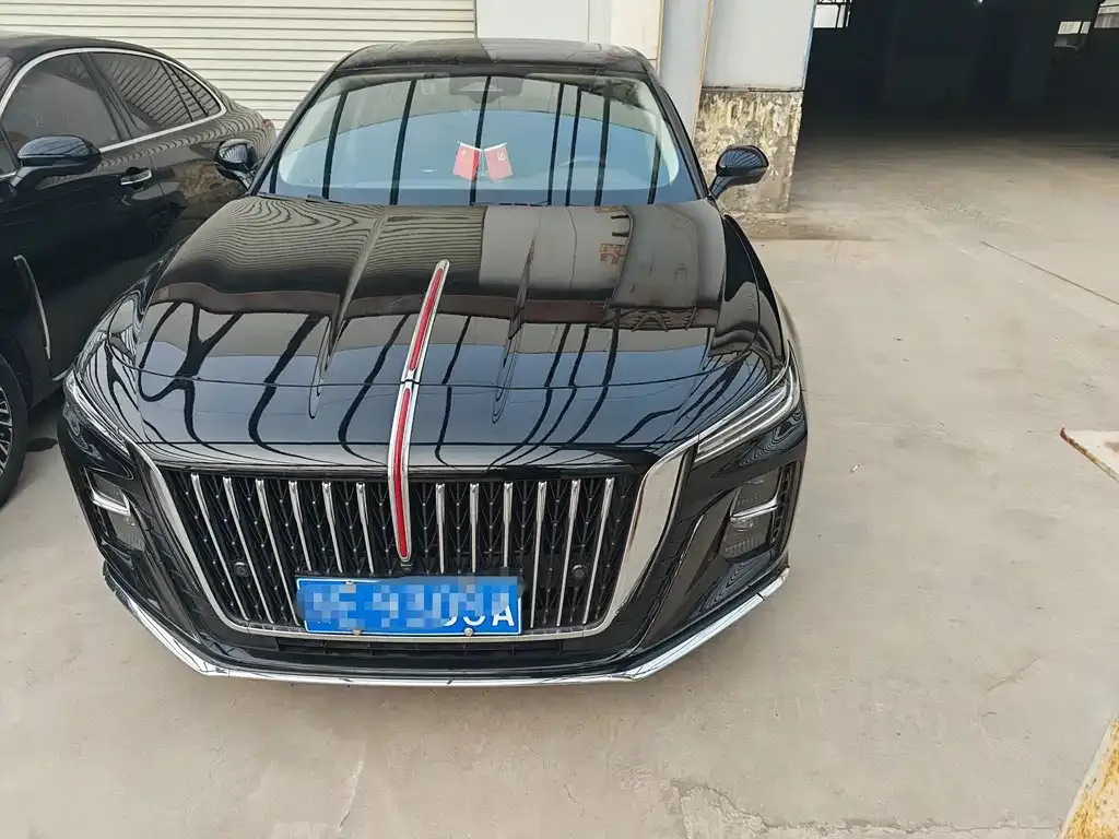 Hongqi H5 2024 из CN, фото 4