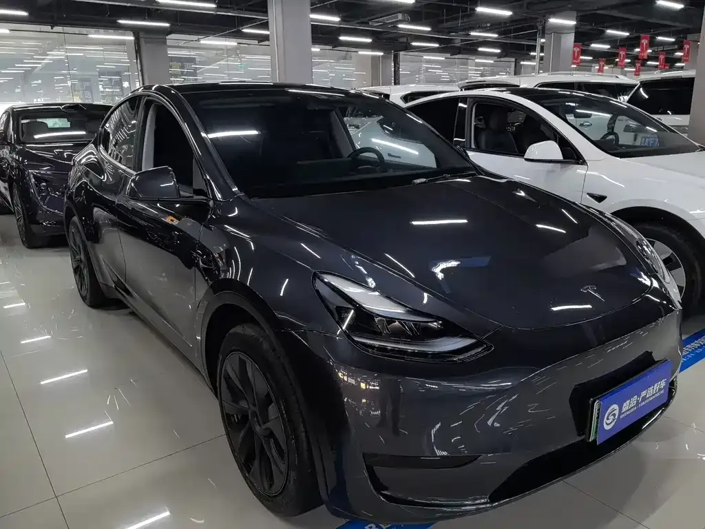 Tesla Model Y 2024 из CN, фото 6