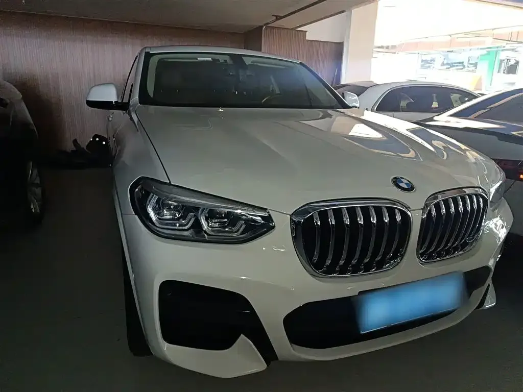 BMW X4 2021 из CN, фото 10