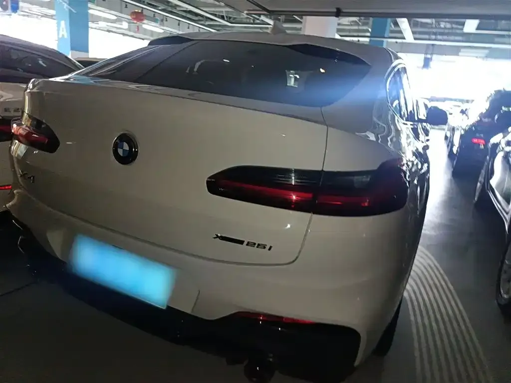 BMW X4 2021 из CN, фото 6