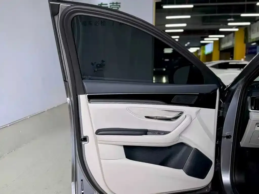 BYD PLUS New Energy 2024 из CN, фото 8