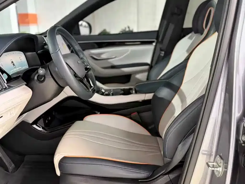 BYD PLUS New Energy 2024 из CN, фото 2