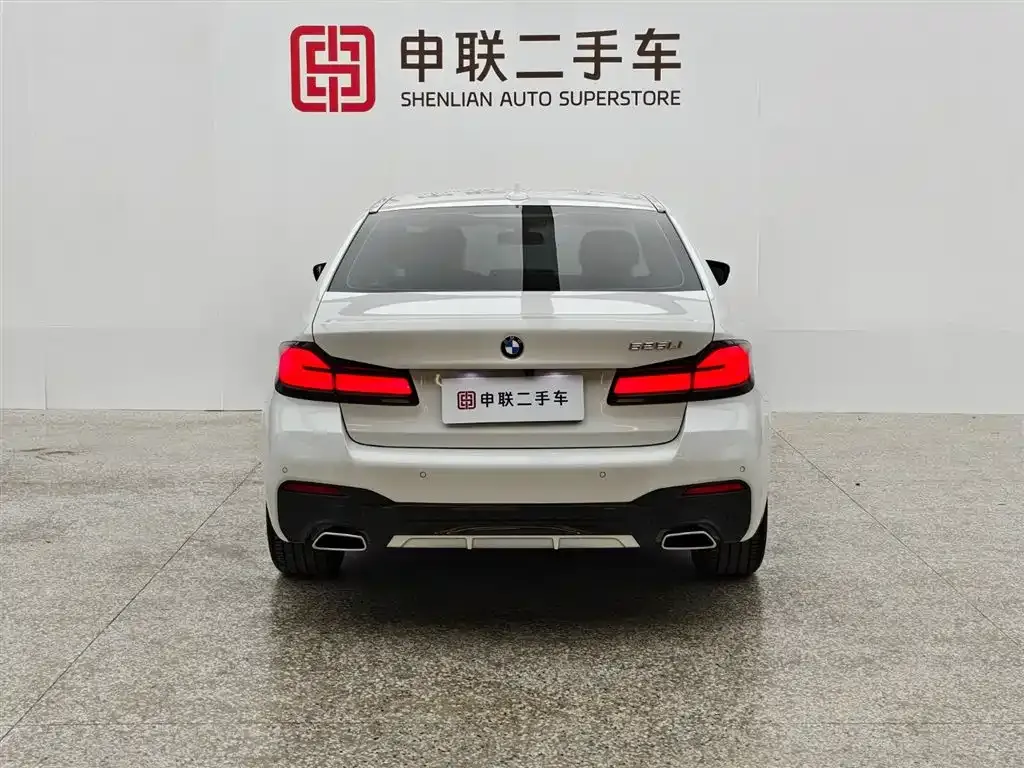 BMW 5 Series 2023 из CN, фото 4