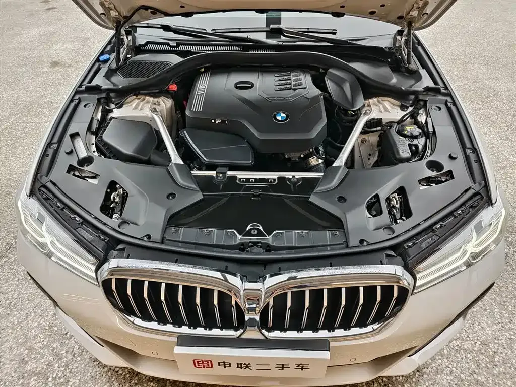 BMW 5 Series 2023 из CN, фото 6