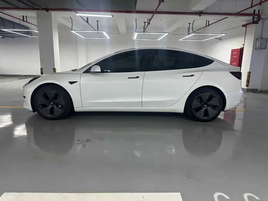 Tesla Model 3 2023 из CN, фото 2