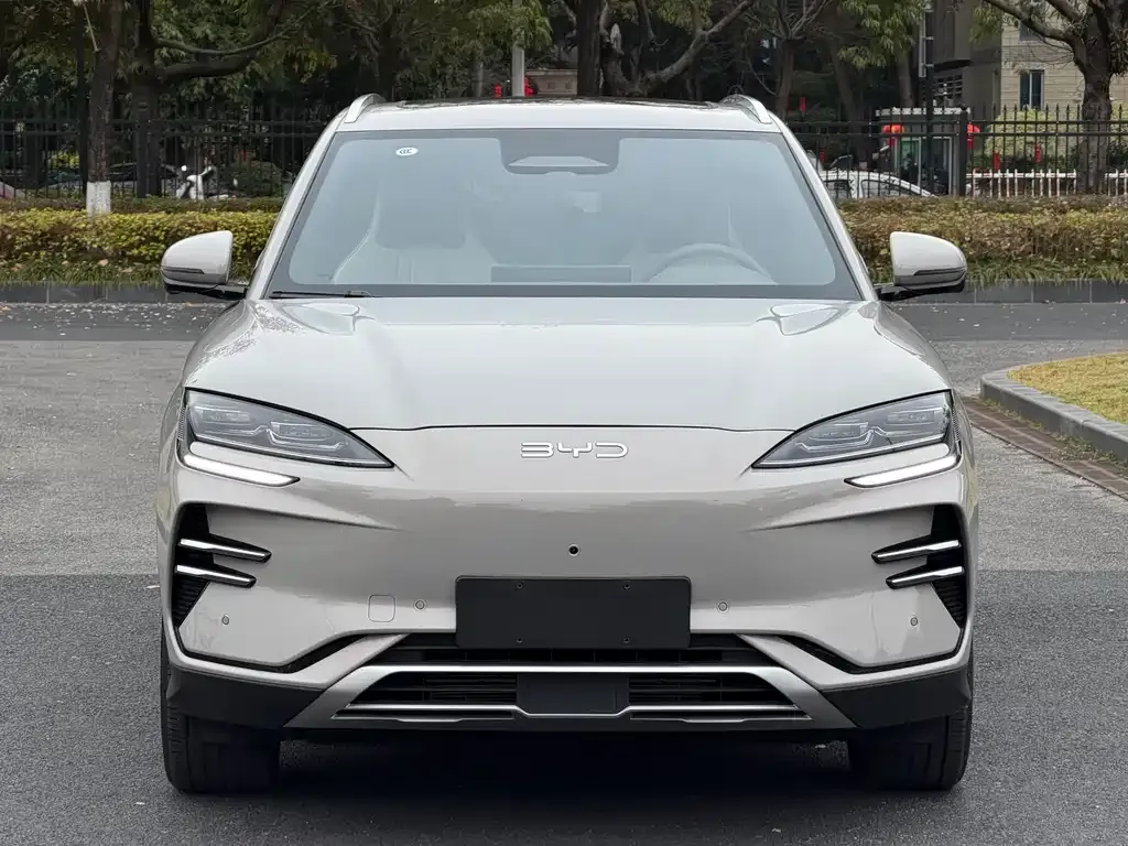 BYD PLUS New Energy 2025 из CN, фото 7