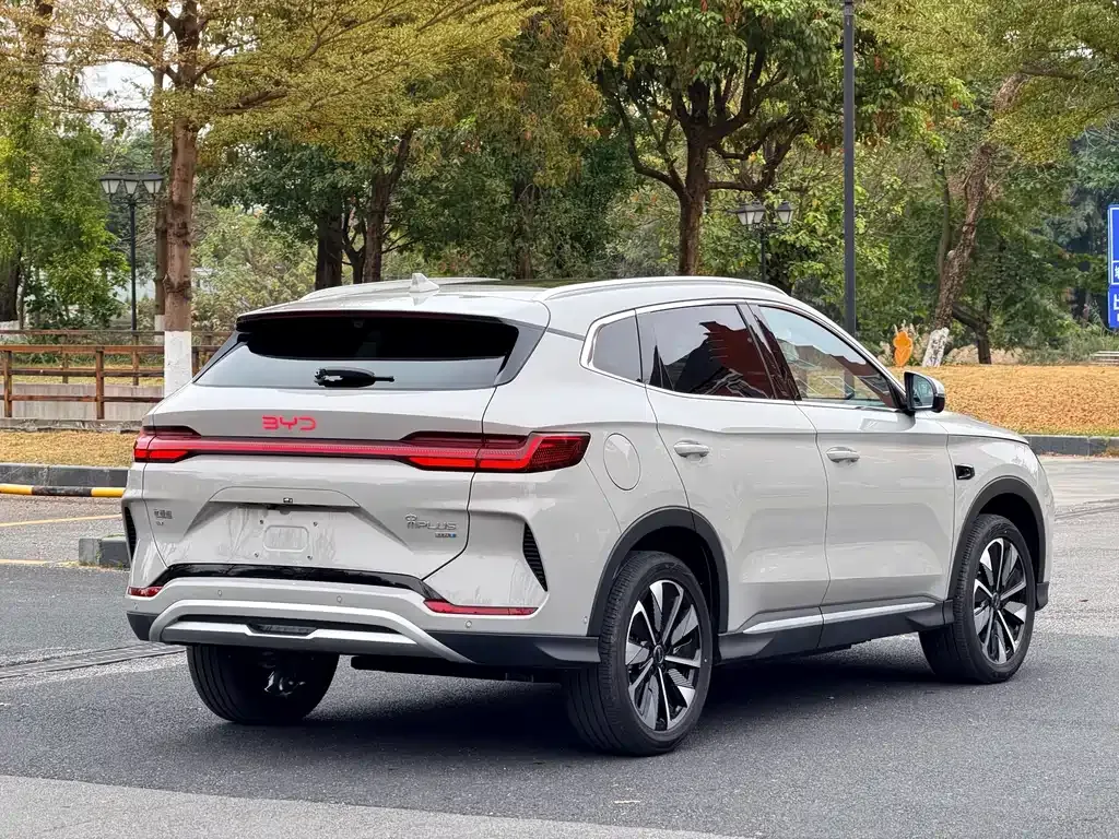 BYD PLUS New Energy 2025 из CN, фото 10