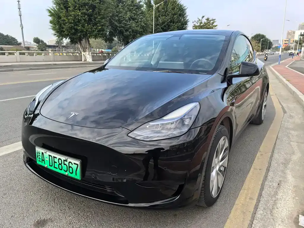 Tesla Model Y — фото 1