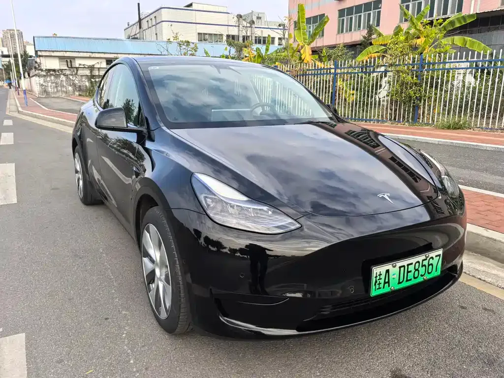 Tesla Model Y — фото 5
