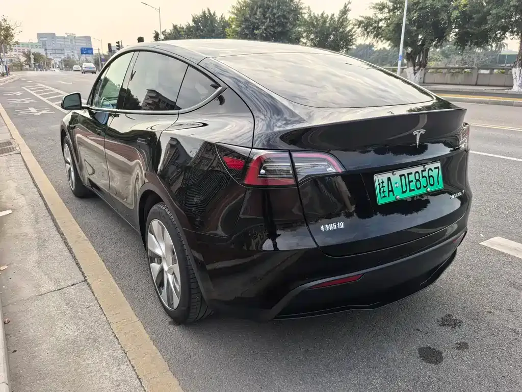 Tesla Model Y — фото 3