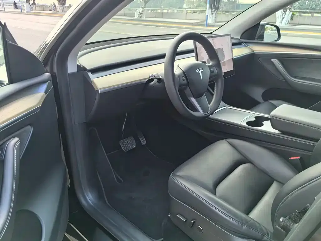 Tesla Model Y — фото 2