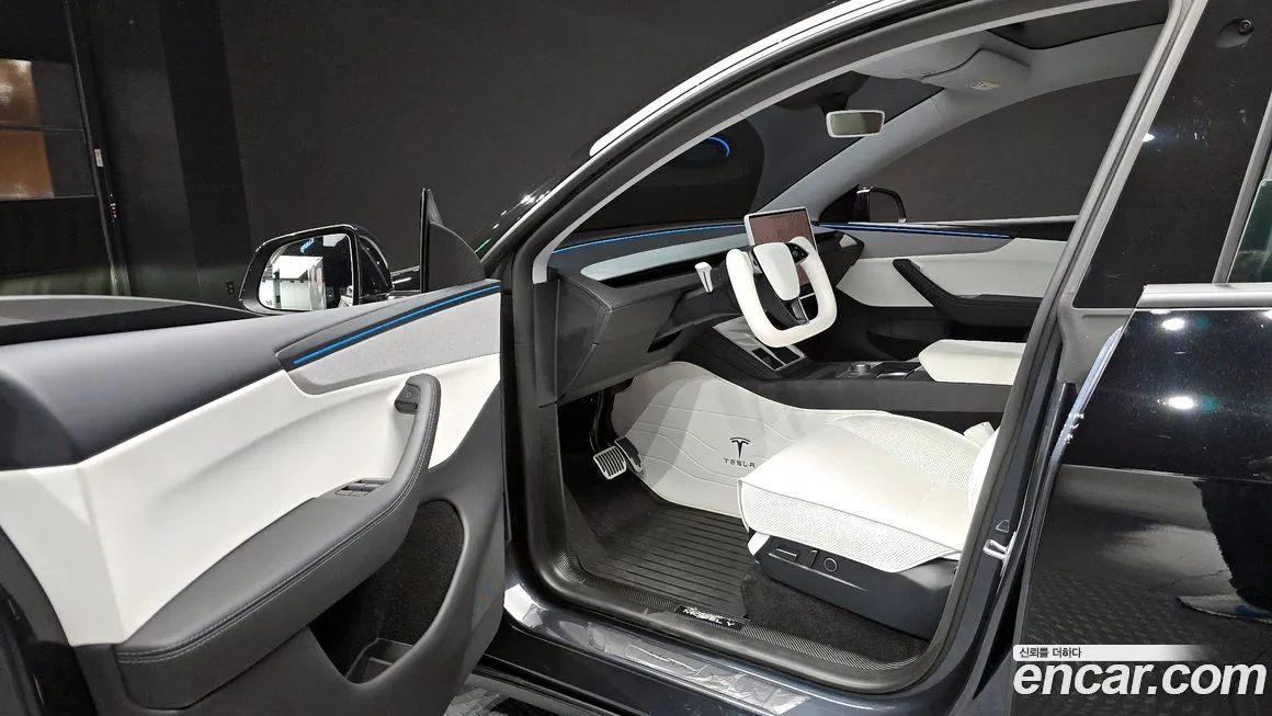 Tesla Model Y 2025 из KR, фото 4